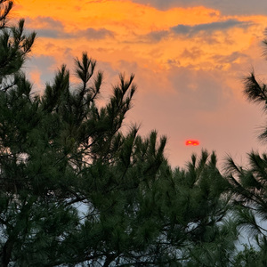 一八年的夏天.wav