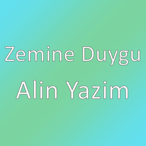 Alin Yazim