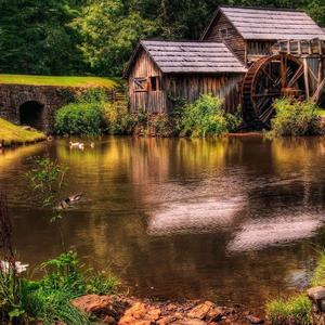 不做情人 (仟仟)