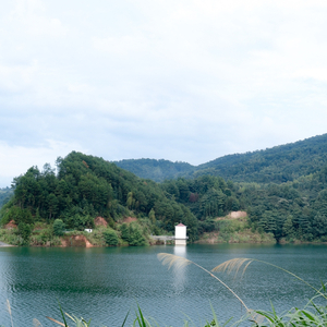 纯古筝｜敕勒歌