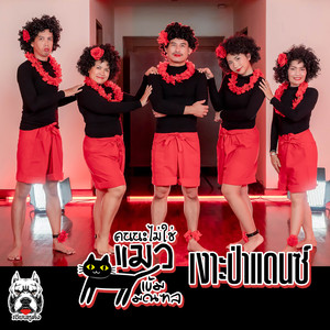 คนนะไม่ใช่แมว (Ver.เงาะป่าแดนซ์)