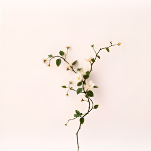 The Story of Two Lovers