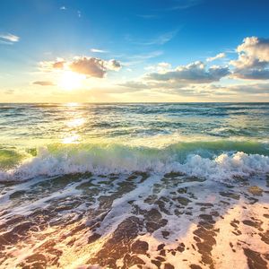 寂静海域的摇篮曲