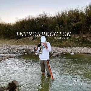 Introspección