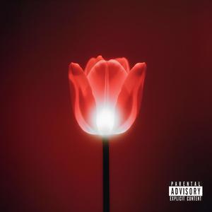 Stone Path (feat. Mira Lune)