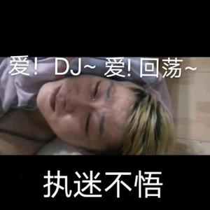 爱DJ爱回荡2.0