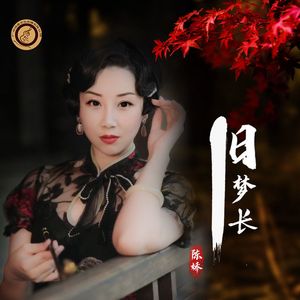 旧梦长 (DJ古仔版)