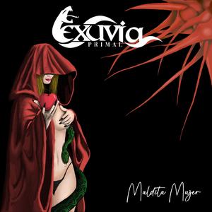 Pelotudo (Saturday Night)