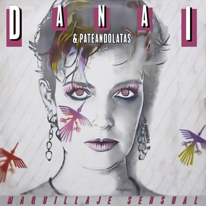 Inmovilizado por Infractor