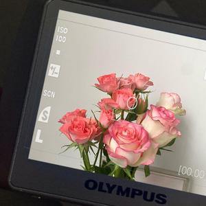 欢-欢（欢 remix）