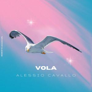 Vola