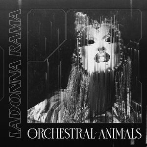 Stuck in the Groove (Rhodes)