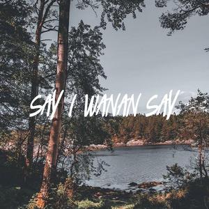 SAY I WANNA SAY(Prod.Ego)