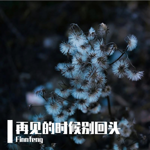 再见的时候别回头