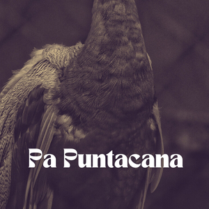 Pa Puntacana