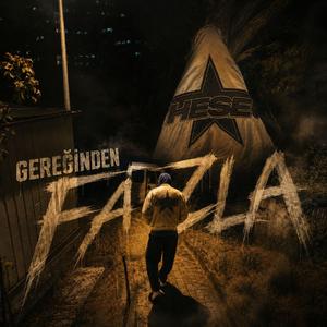 Gereğinden Fazla