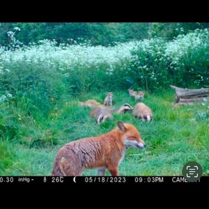 Rain all frick'n day