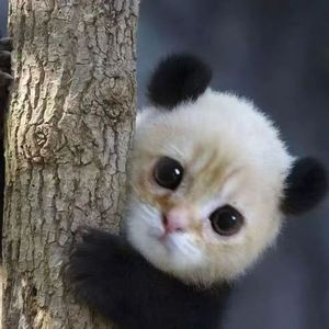 ss*Janeremover*2hollis*Glitch prod.gu