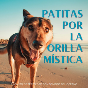 Serenata De Ondas De Felicidad