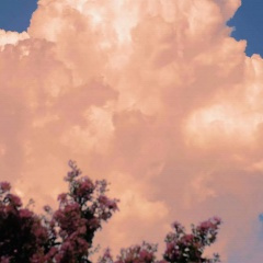 茉莉花 (舒缓优美的大提琴乐曲)