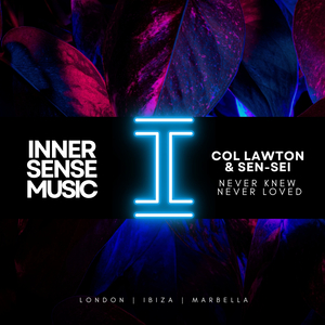 Never Knew Never Loved (Extended Mix)