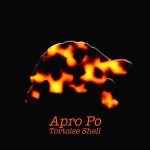 Tortoise Shell