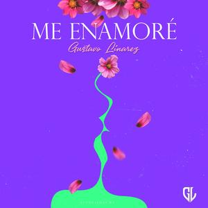 Me Enamoré
