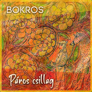 Páros csillag