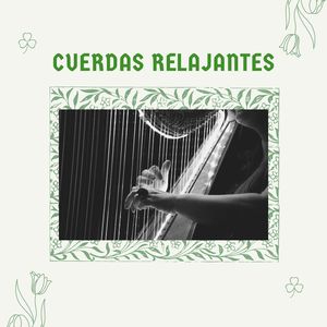 Cuerdas plácidas