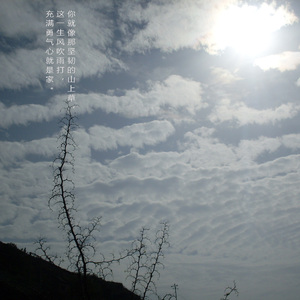 山上草，山里花