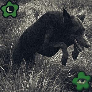 Plague Dawg (feat. Guttas)