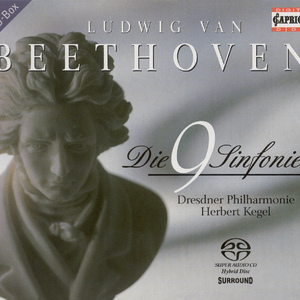 Symphony No. 9 in D Minor, Op. 125, "Choral":IV. Finale: Presto - Allegro assai