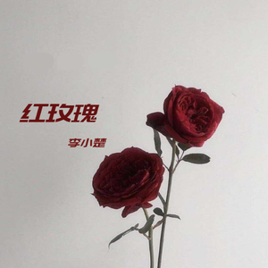 李小楚-红玫瑰（吉他版伴奏）（李小楚 remix）