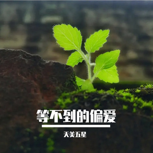 等不到的偏爱