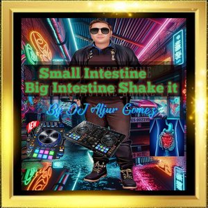 Small Intestine Big Intestine Shake It