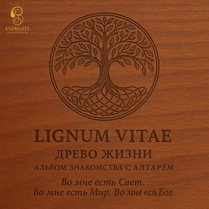 Скрытая тайна