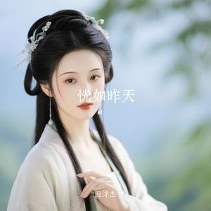 恍如昨天 (Cover 杨友友)