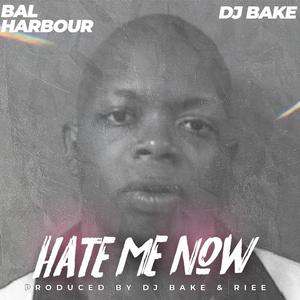 Hate Me Now (feat. Bal Harbour)