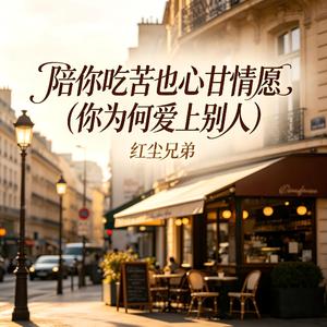 陪你吃苦也心甘情愿(你为何爱上别人)