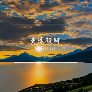 翅归于收