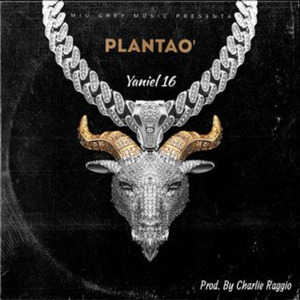 Plantao