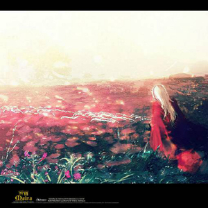 在这个世界相遇