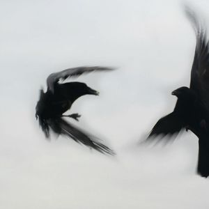 [Free] “化风” 中国风 Gunna x Type Beat