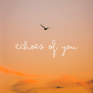 Echoes of You