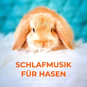 Tierinstinkt