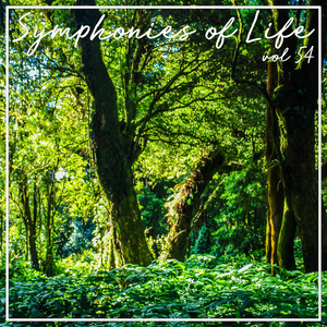 Act I Scene 1:Summertime (Clara, Chorus)