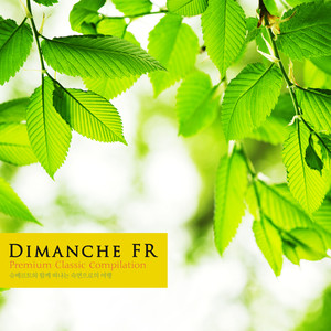 6 Moments musicaux D.780 - I. Moderato