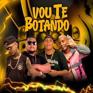 Vou Te Botando