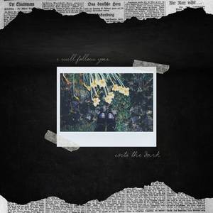 I Will Follow You into the Dark (Piano Acoustic)