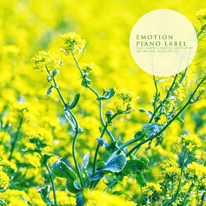 별빛은 흐르고 (Nature Ver.)